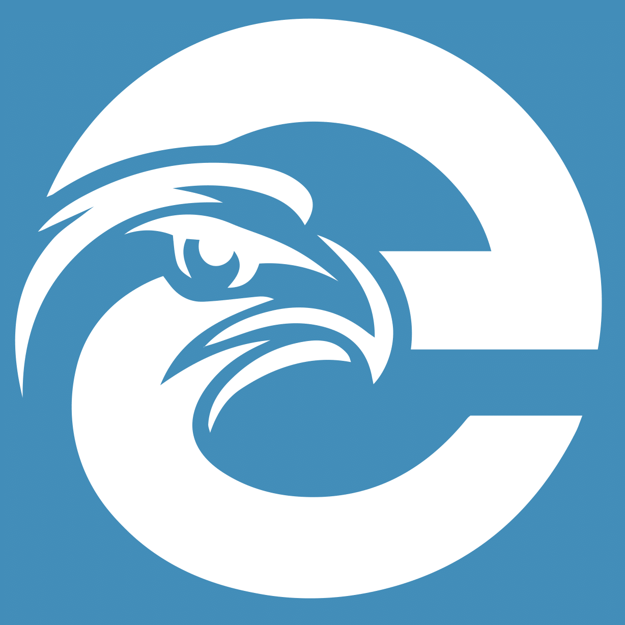 /Content/img/eagle-logo-v8.png